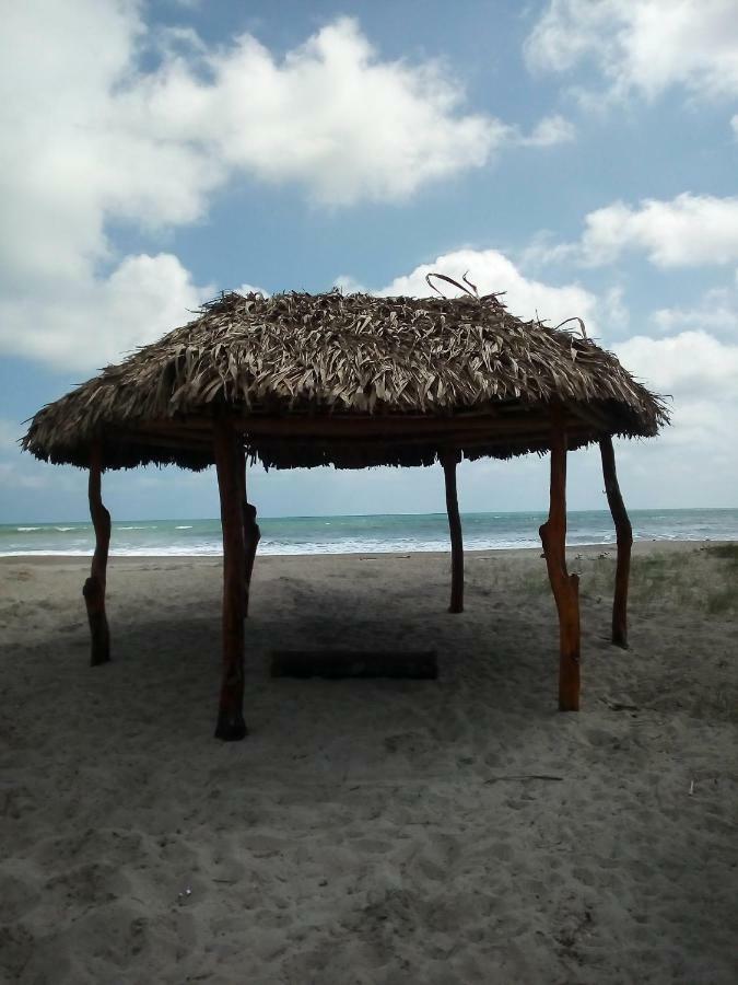 Jardin Pacifico Bungalow Room Canoa Exterior foto